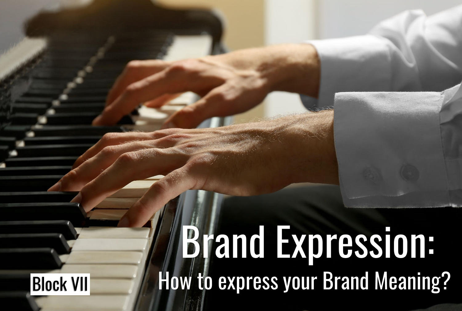 The Brand-Self-Seven Brand Identity Planning Model: Brand Expression