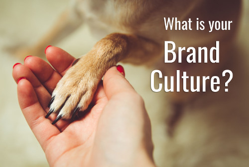 What is your Brand Culture?