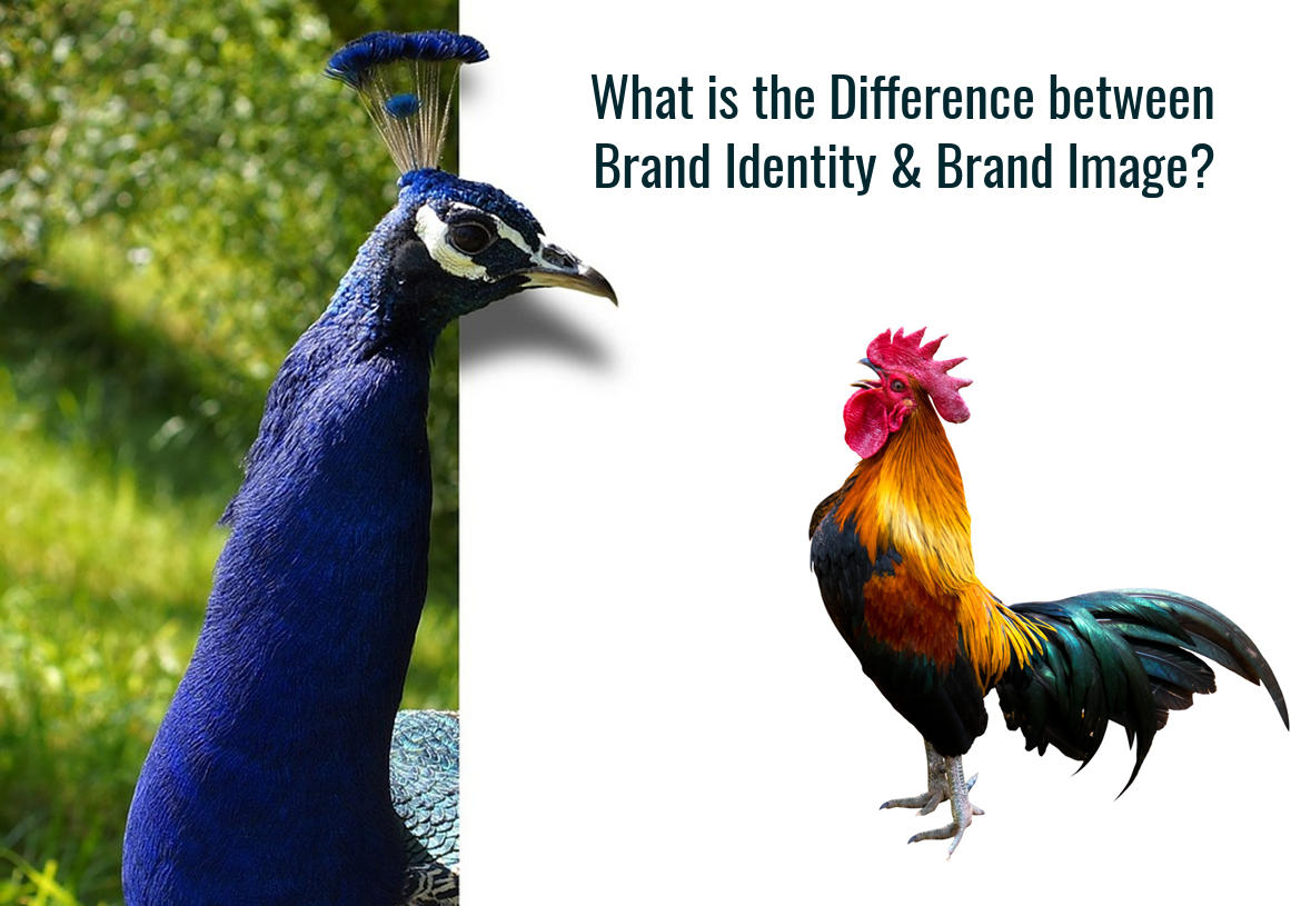 What is the difference between Brand Identity & Brand Image?